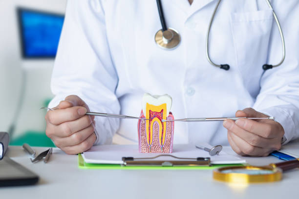 Best Urgent Dental Care for Toothaches in Daleville, IN